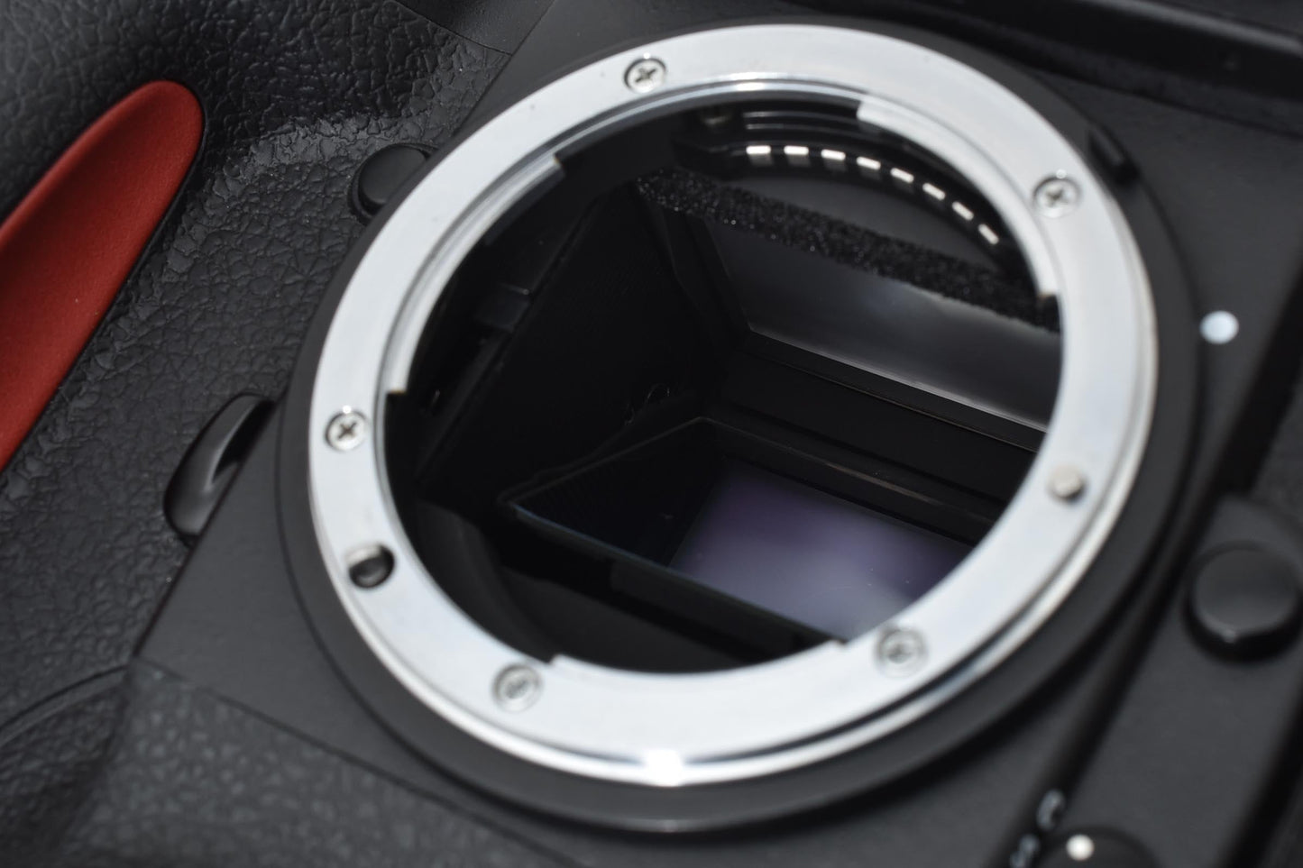 Nikon F5 ボディ 元箱付き #7734 10