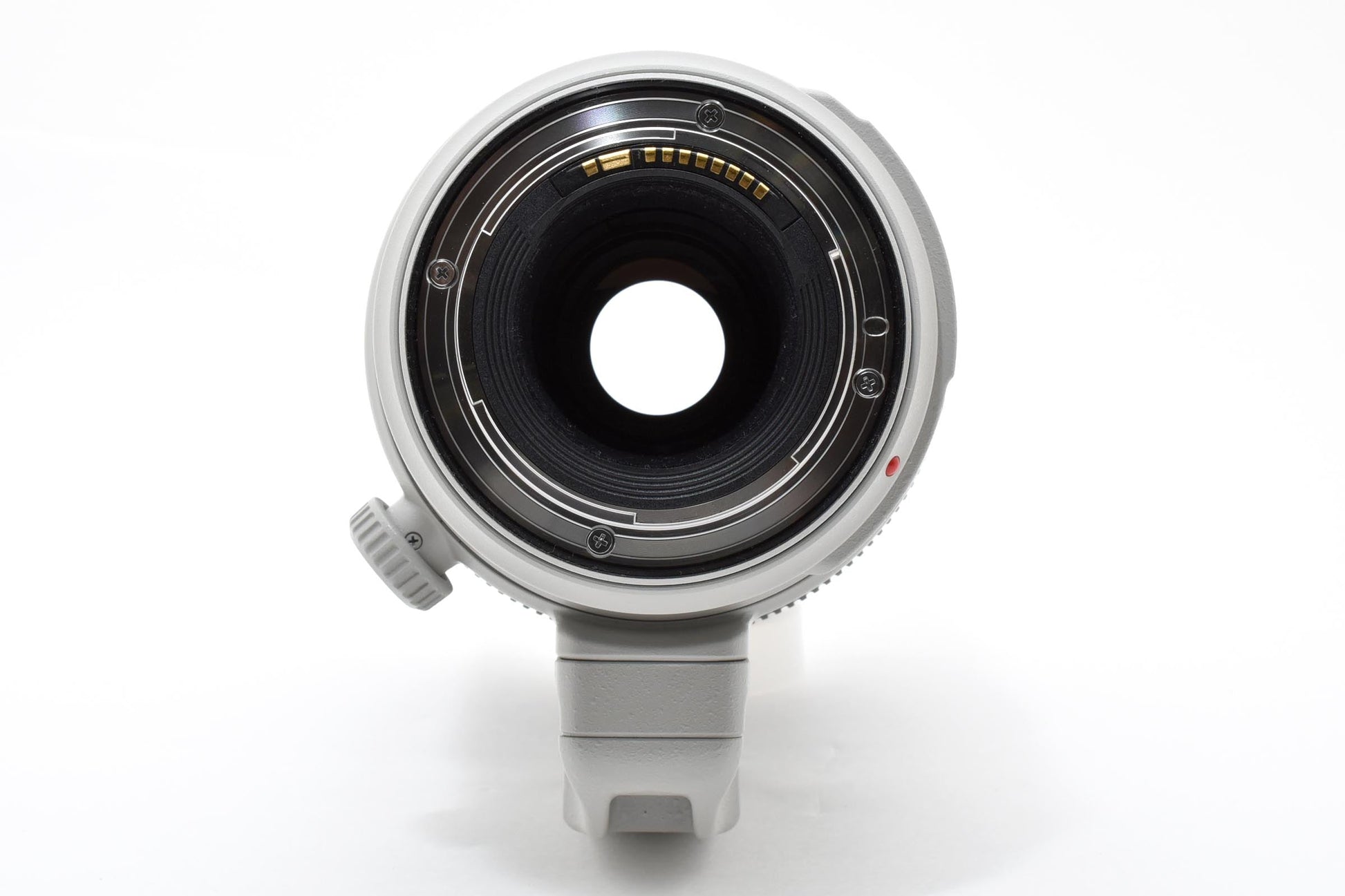 Canon EF 100-400mm F4.5-5.6L IS II USM 望遠ズームレンズ #8672 6