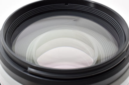 Canon EF 100-400mm F4.5-5.6L IS II USM 望遠ズームレンズ #8672 12